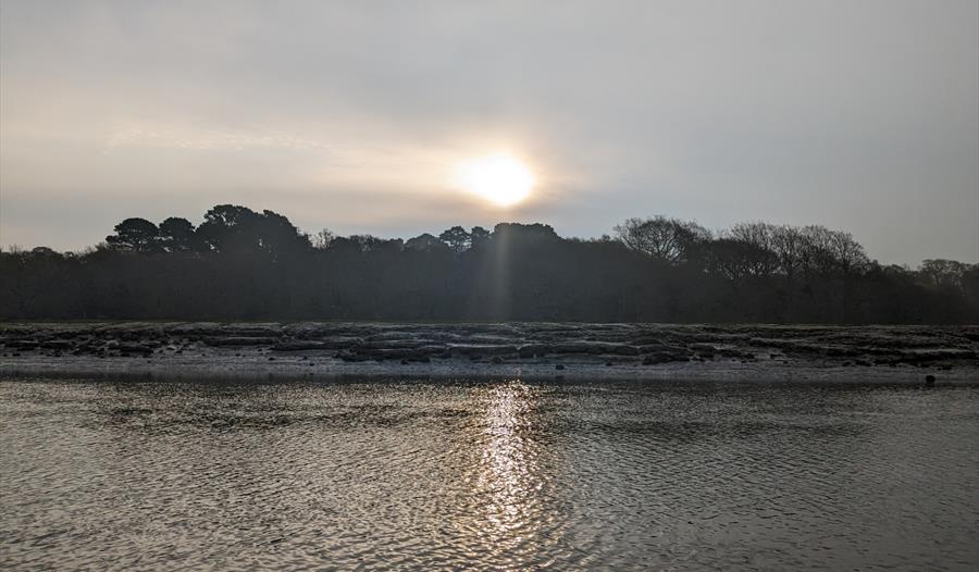 Beaulieu River Boat Tour