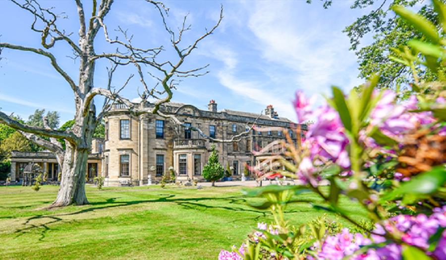 Beamish Hall Country House Hotel exterior, with purple spring flowers emerging in the foreground.