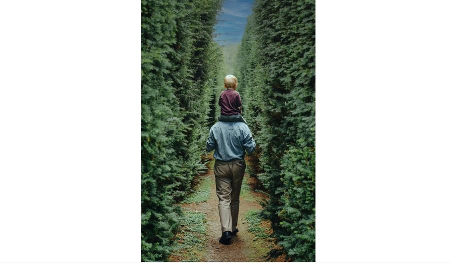 Little boy being carried on his dad's shoulders through trees