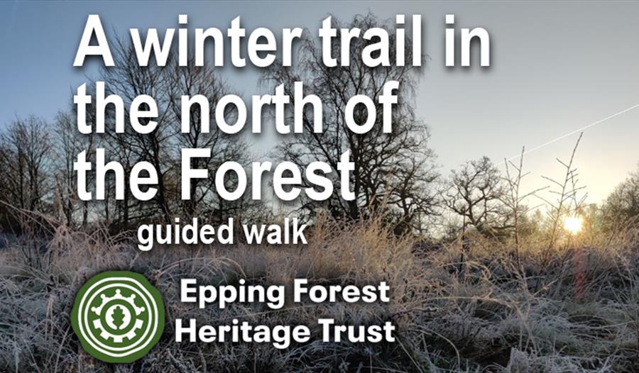 Epping Forest Heritage Trust organised guided winter trail in the north of Epping Forest