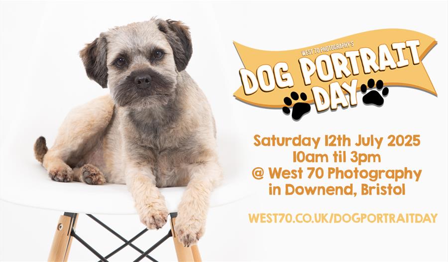 Dog Portrait