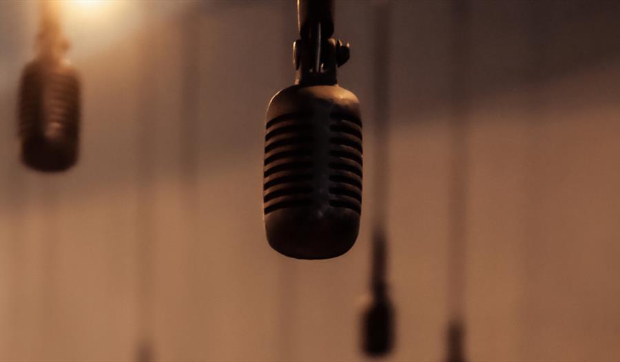 Image of a mic