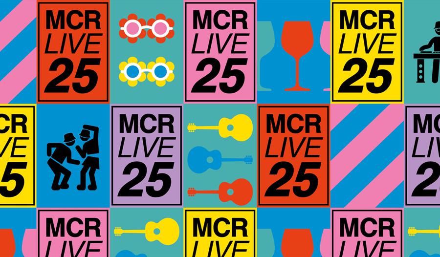 Promo poster for MCR Live 25