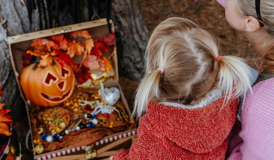 Blakemere's Halloween Pumpkin Trail