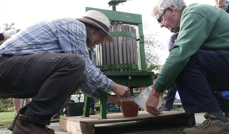 Two men crouching down, catching juice running from a press