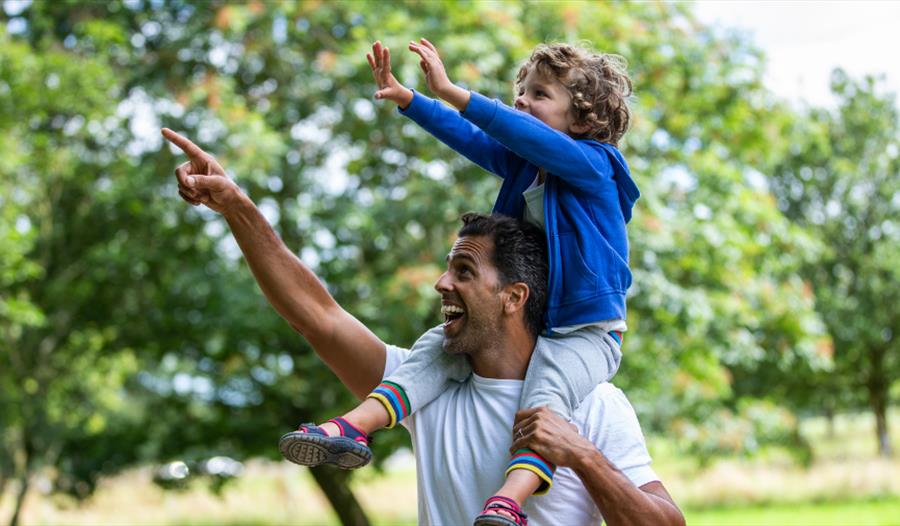 A young boy on a man's shoudlers pointing up at the trees