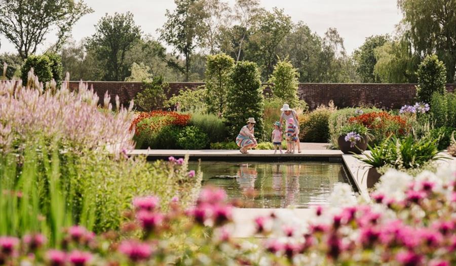 RHS Garden Bridgewater