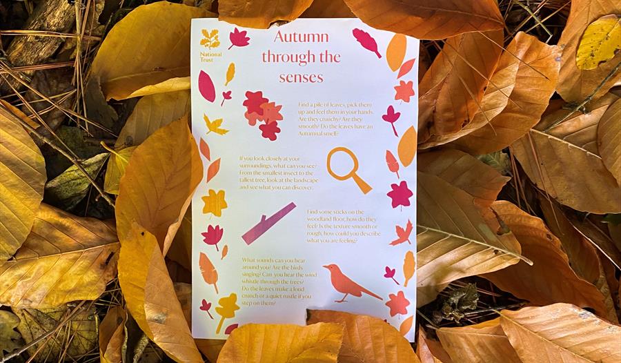 Autumn Activities at the Ickworth Estate
