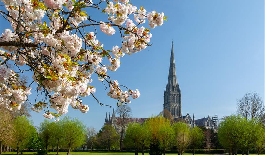 Coronation Celebrations at Salisbury Cathedral