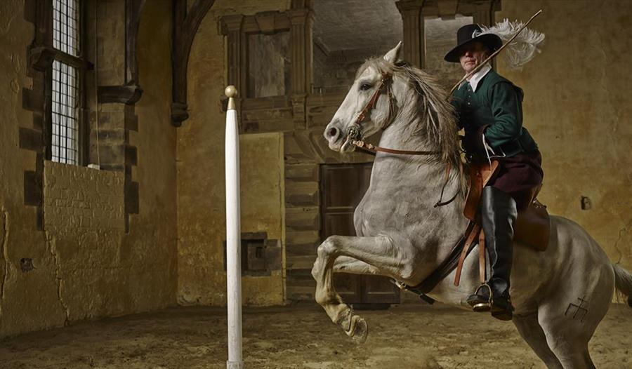 Cavendish's Horses