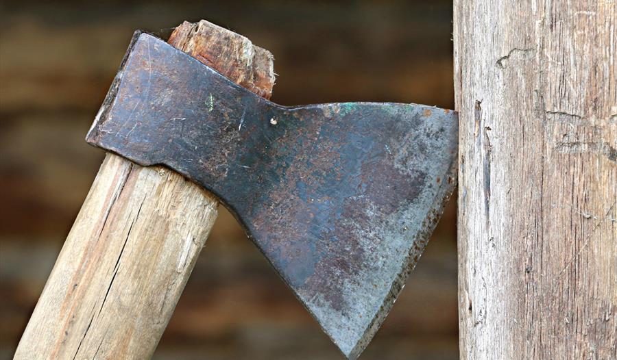 Camp Wilderness Bushcraft Activities