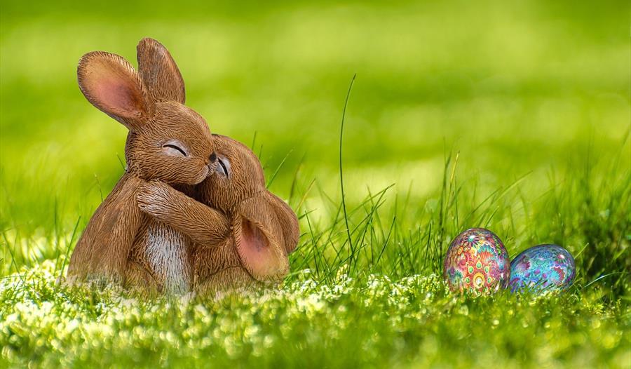Easter bunnies hugging