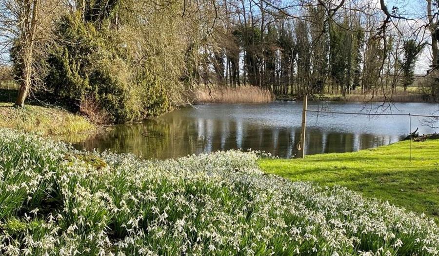 Eythrope Parkland Tours