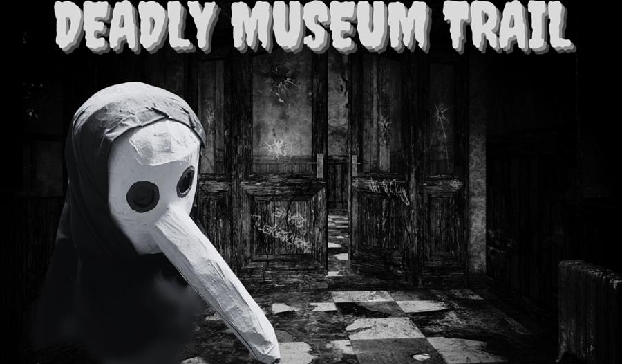 Deadly Museum Trail,Grosvenor Museum,Chester,Halloween