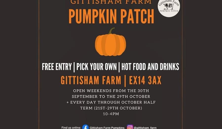 Gittisham Farm Pumpkin Patch