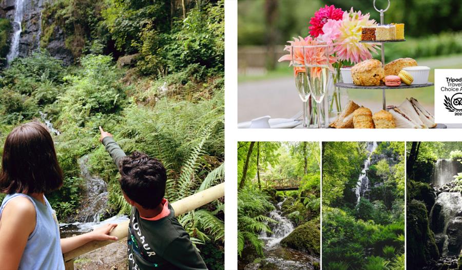 Canonteign Falls Bank Holiday Family Fun