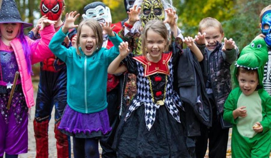 Halloweenies, School of Sorcery at Kentwell hall