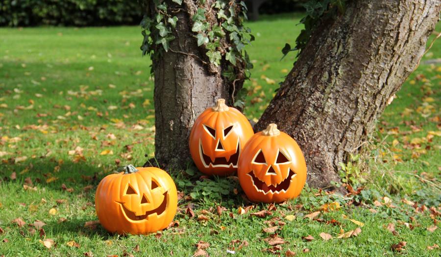 Halloween half-term: Pumpkin Hunt