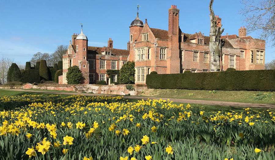 Kentwell Hall Lambs & Spring Bulbs