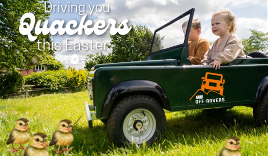 Mini Off-Rovers - Driving You Quackers!