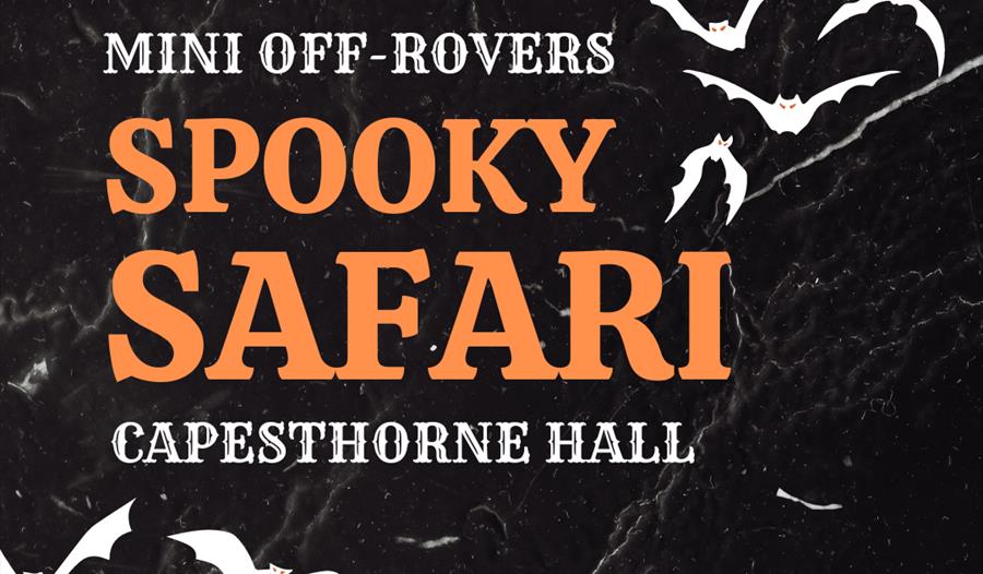 Mini Off-Rovers : Spooky Safari