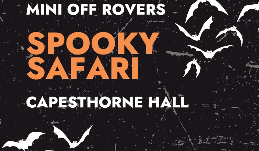 Mini Off-Rovers Spooky Safari