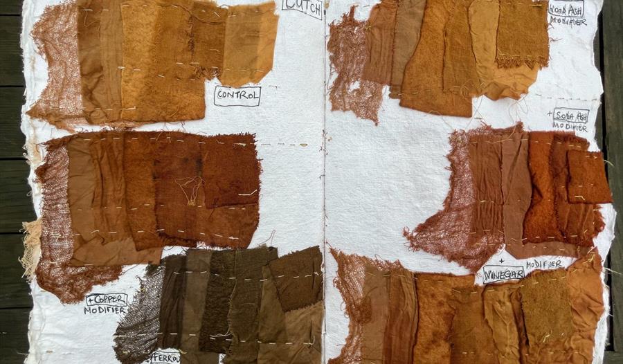 Beginners Natural Dye Workshop