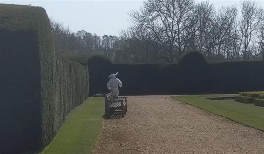 The Easter Rabbit's visit - Garden Trail