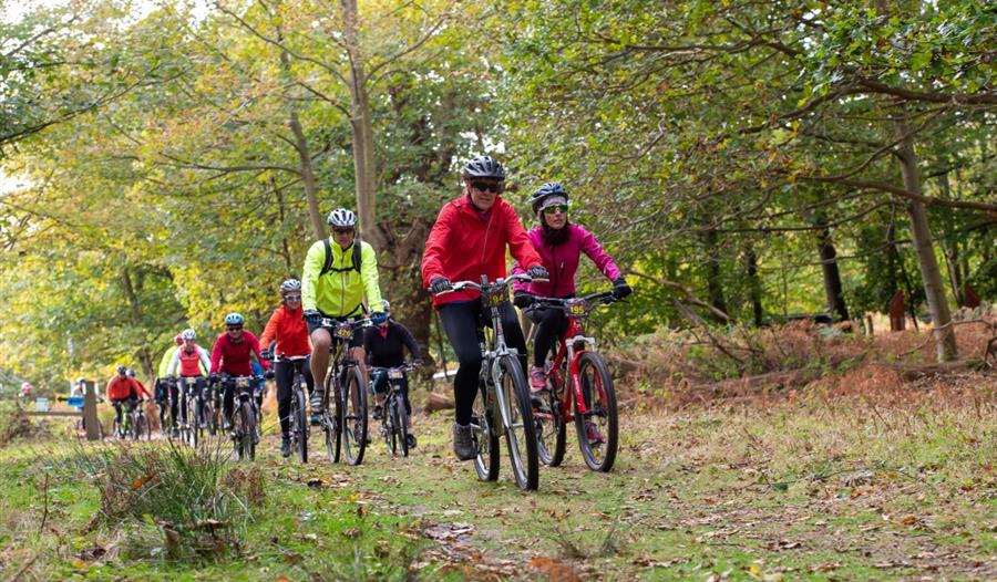 The Untamed - Cycling Event