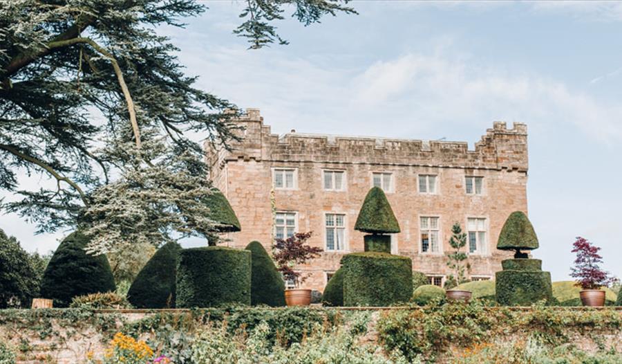 Askham Hall hedges