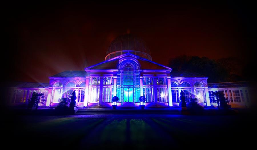 The Enchanted Woodland