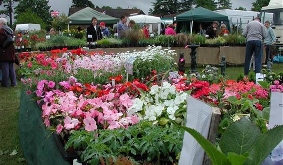 Hertfordshire Garden Show at Knebworth House - Stevenage - Visit Heritage