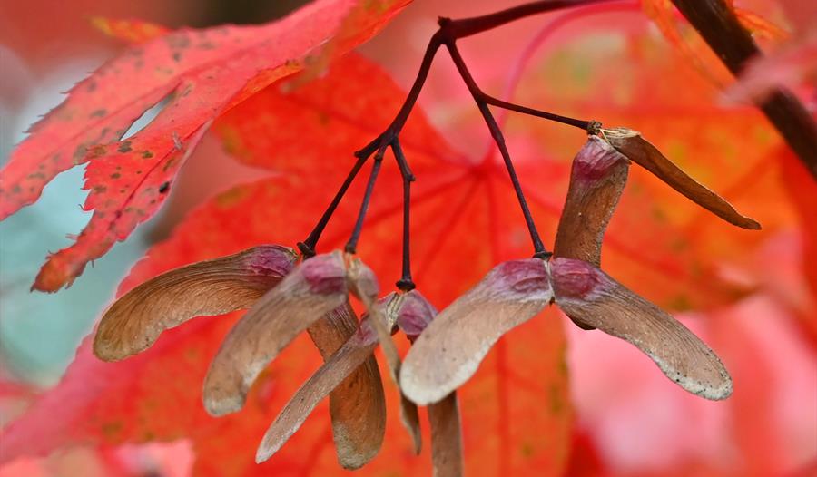 Photography Workshop at Emmetts Garden - National Trust