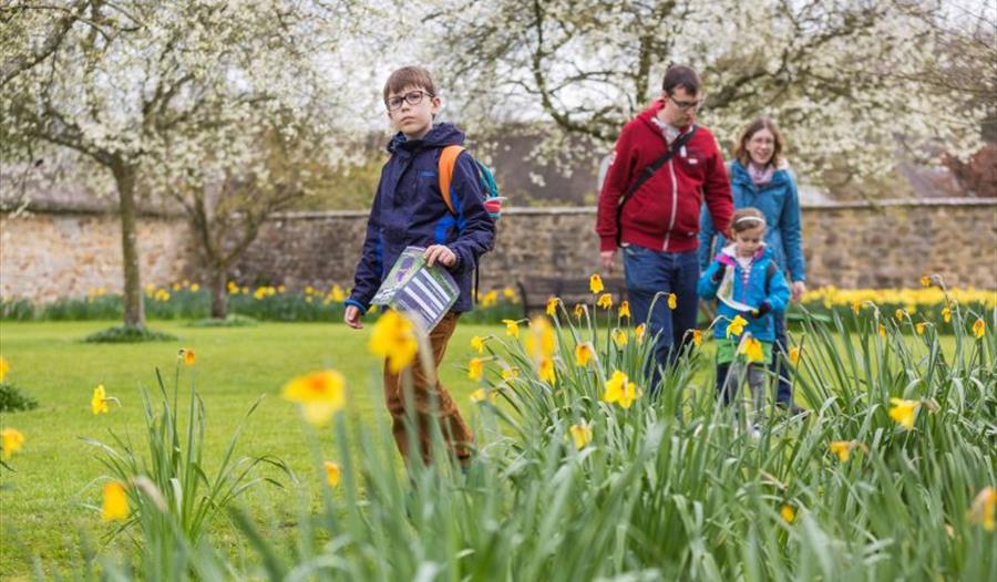 Signs of Spring Family Trail at Emmetts Garden - National Trust