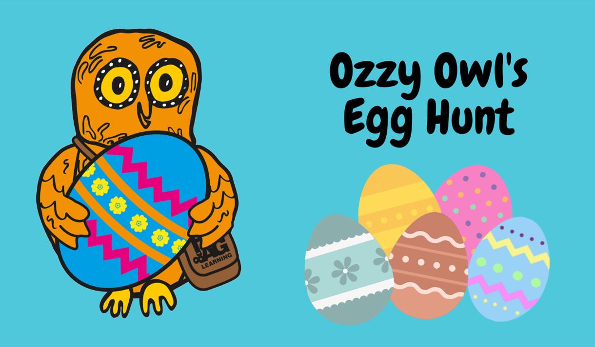 Ozzy Owl's Egg Hunt