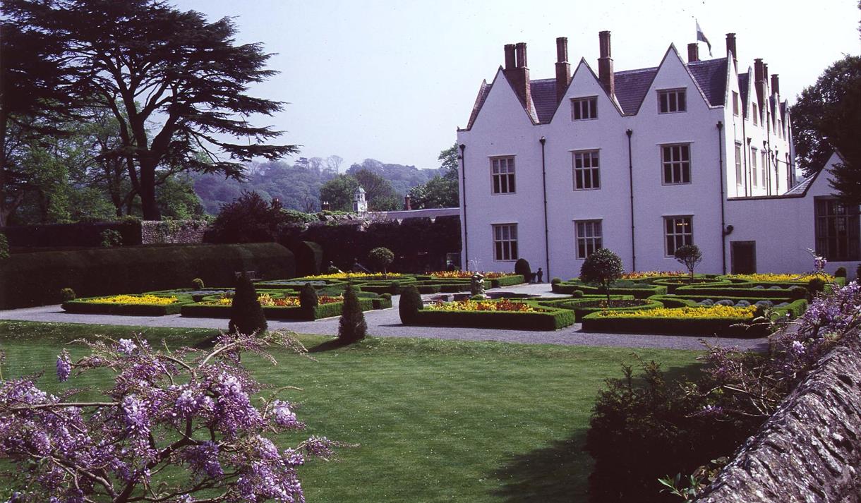 Ask the Gardener: Lime Trees