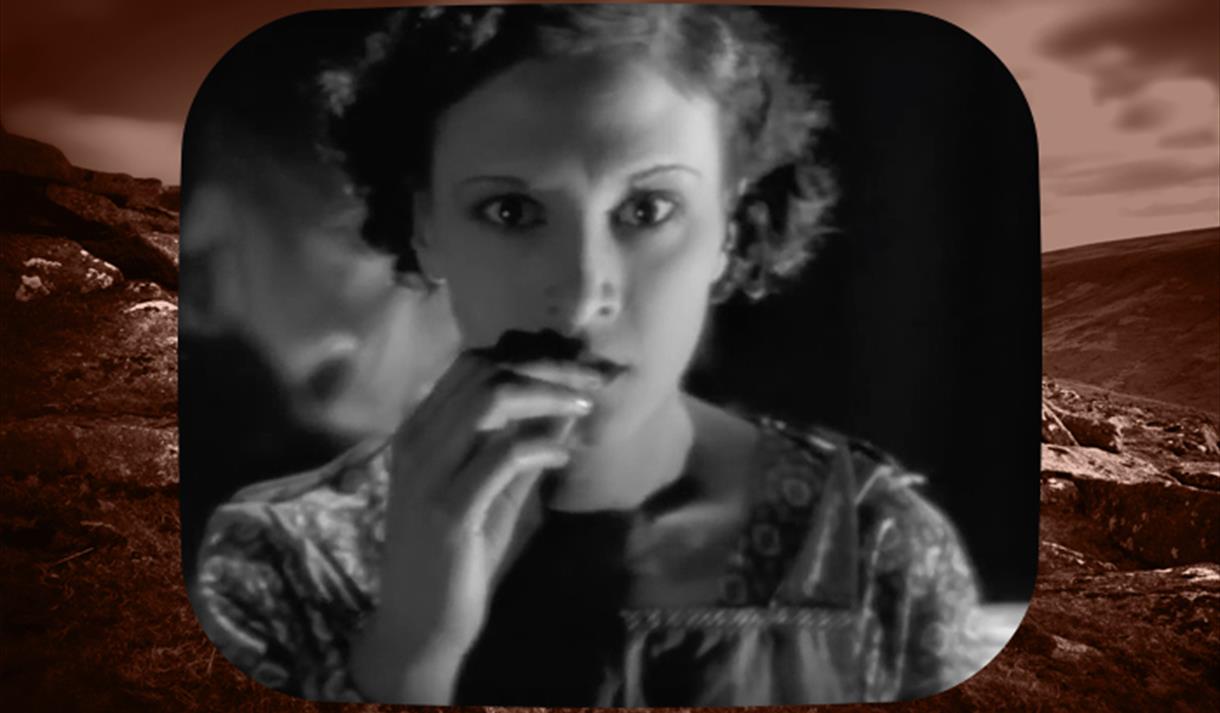 A Cottage on Dartmoor