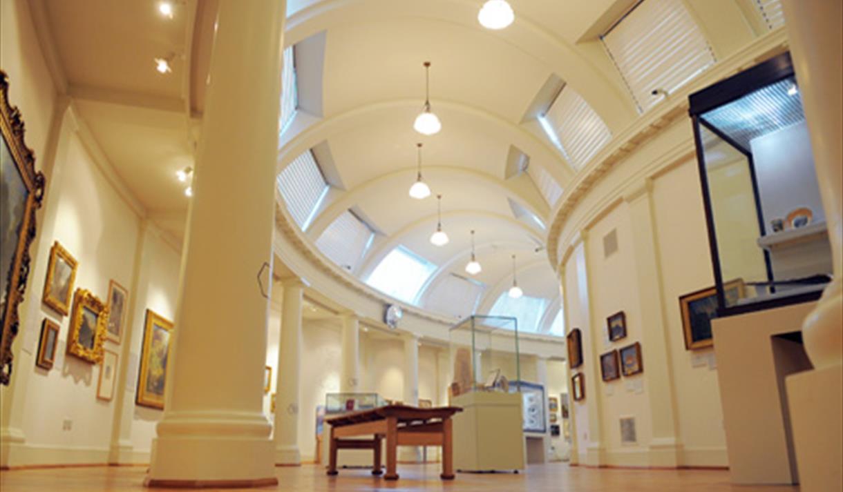 Natural History Open Day