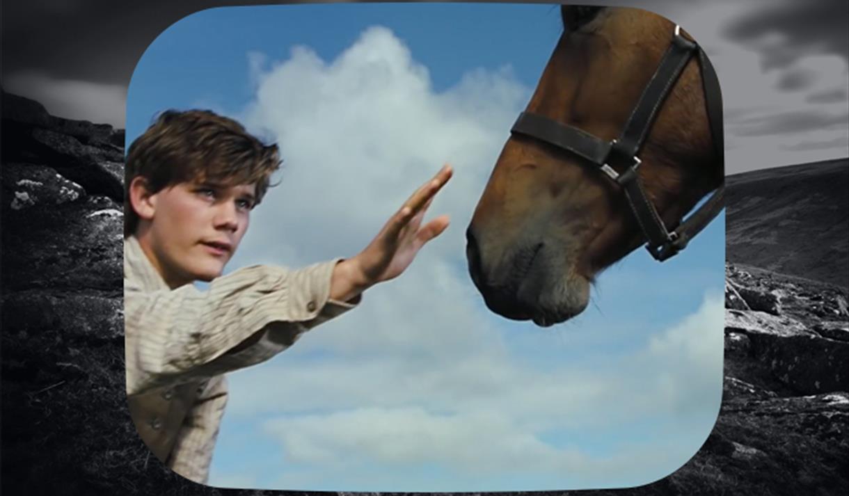 War Horse (2011)