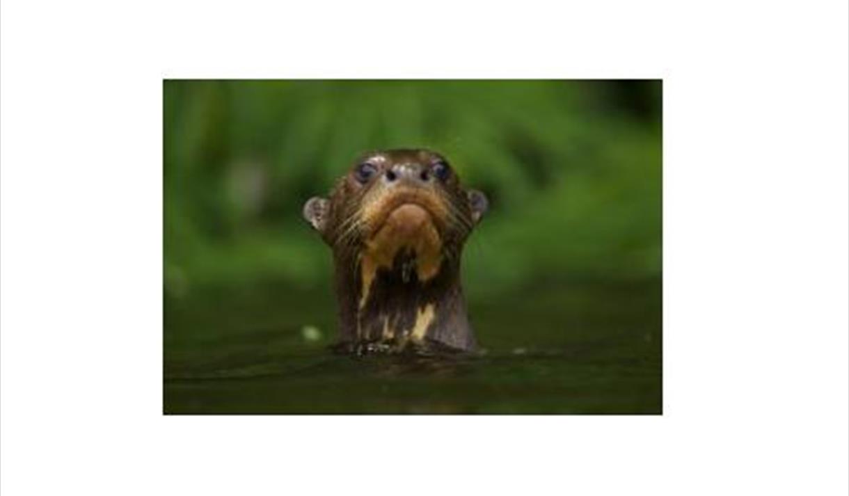 Veolia Environnement Wildlife Photographer of the Year