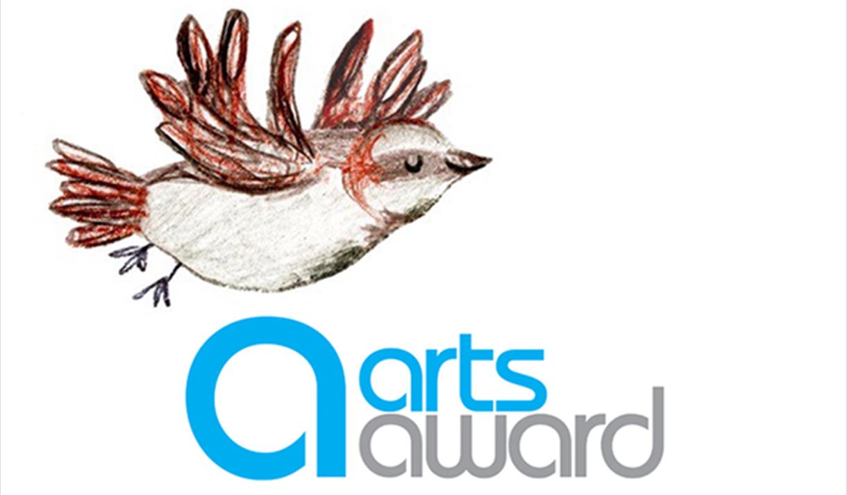 Discover Arts Award at RAMM