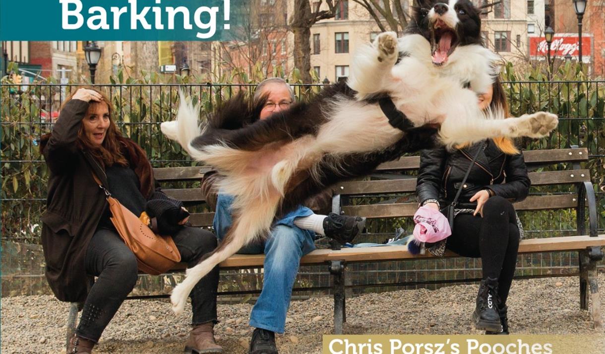 Chris Porsz Book Signing