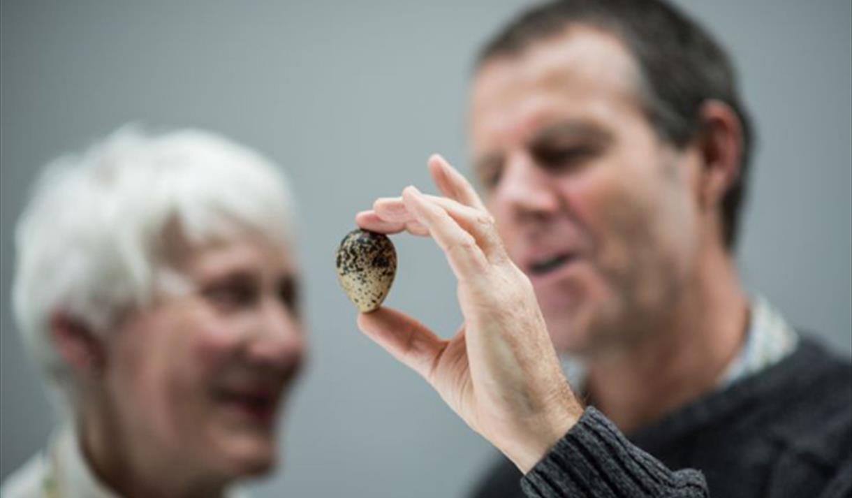 Dementia-friendly object handling on a springtime theme