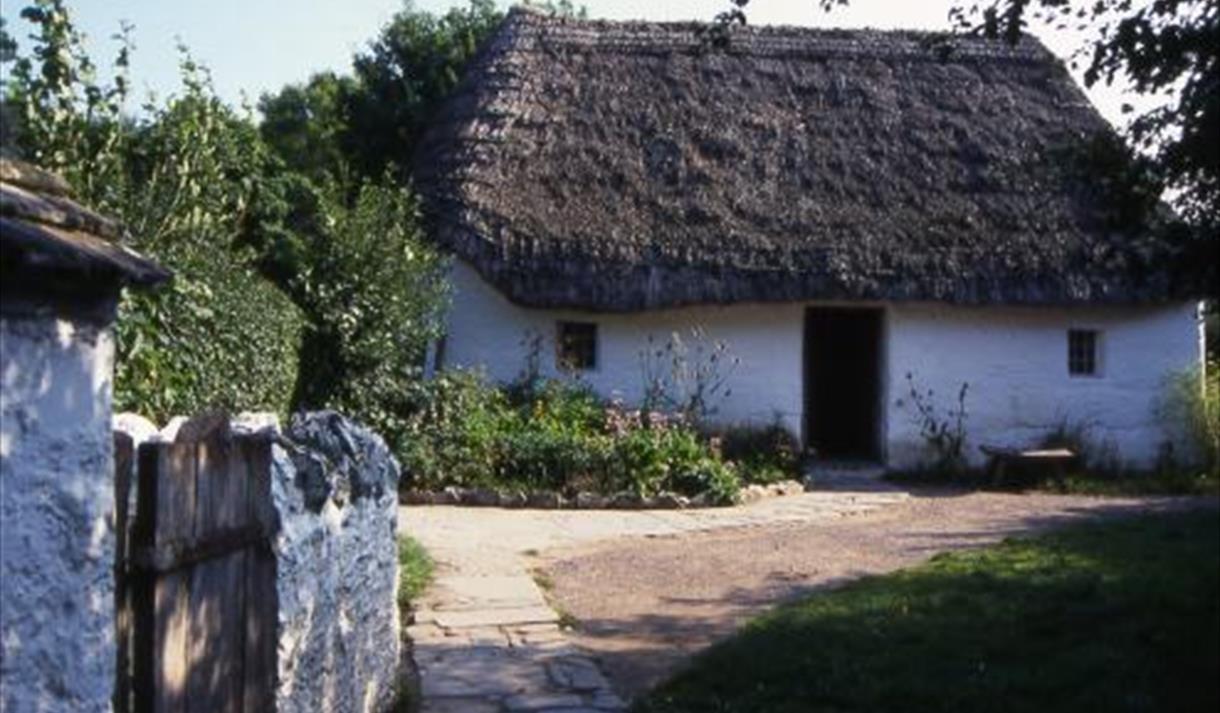 Prehistoric Hide Tanning