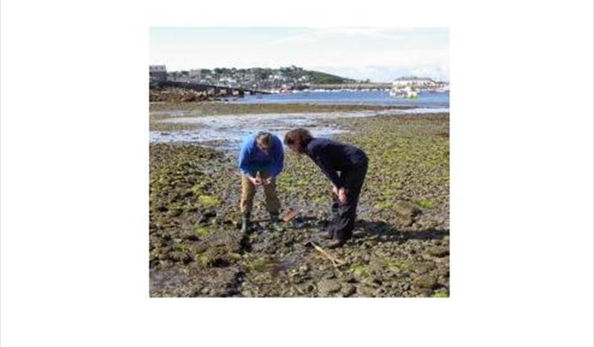 Lunchtime Talk: Islands in a common sea - British isles in prehistory