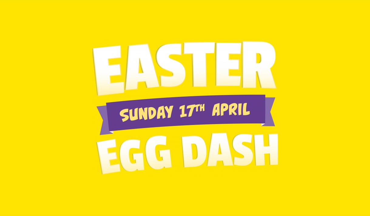 Bee Active Easter Egg Dash