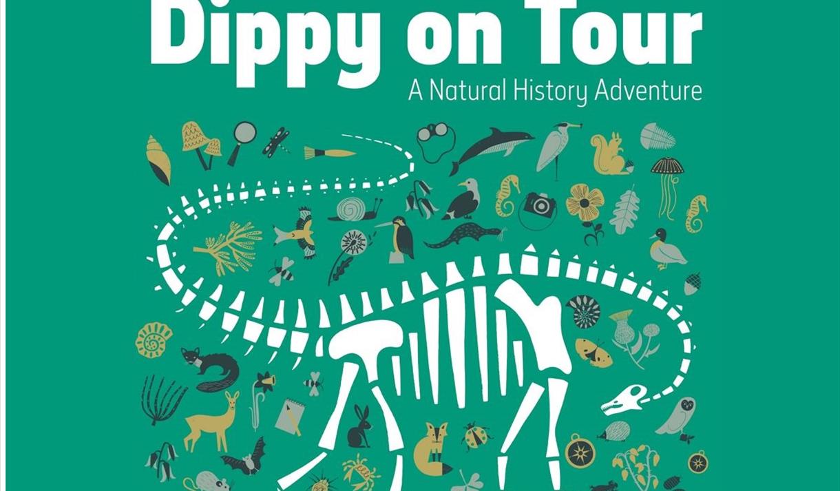 Dippy On Tour