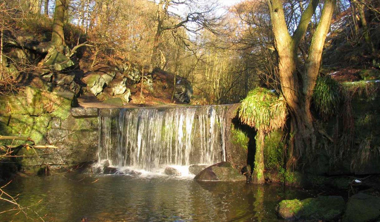 Waterfall from the Upper Trent at Knypersley in Greenway Bank