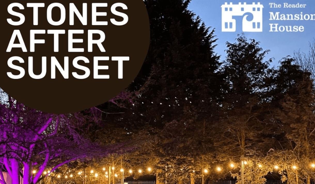 Trees at Calderstones park in the night time full of lights.