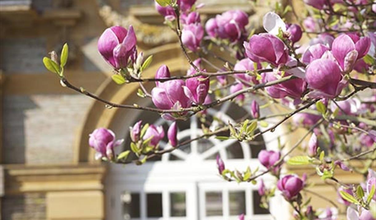 Giant Book Sale at Hestercombe